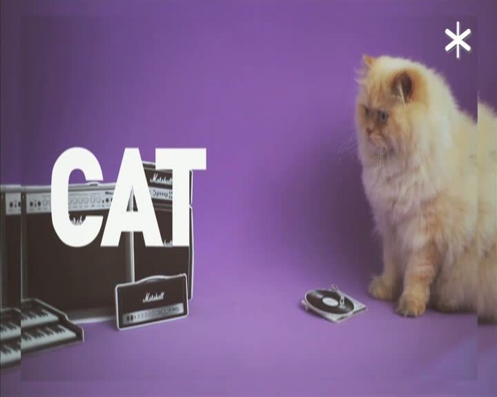 Promo Catsons 3