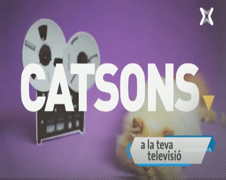 Promo Catsons - febrer