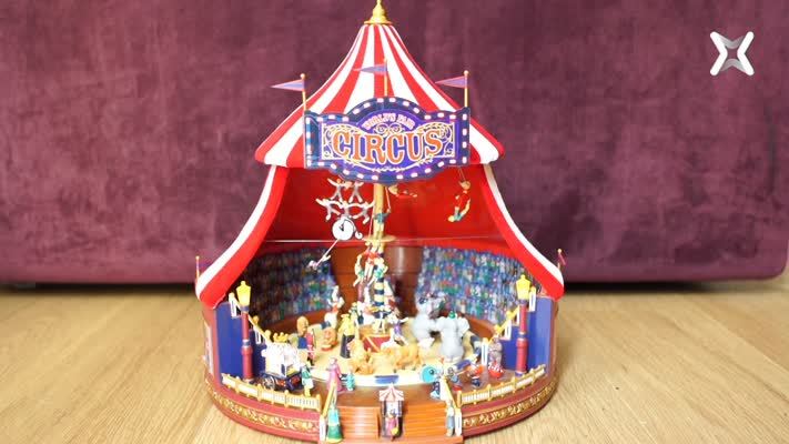 CAP 5- El circ, l'espectacle més meravellós del món
