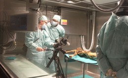 El Enigma De Las Momias Discovery Max Televisión A La Carta - 