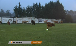 Imagen del vídeo Programa 55 - 03/12/2018 17:45